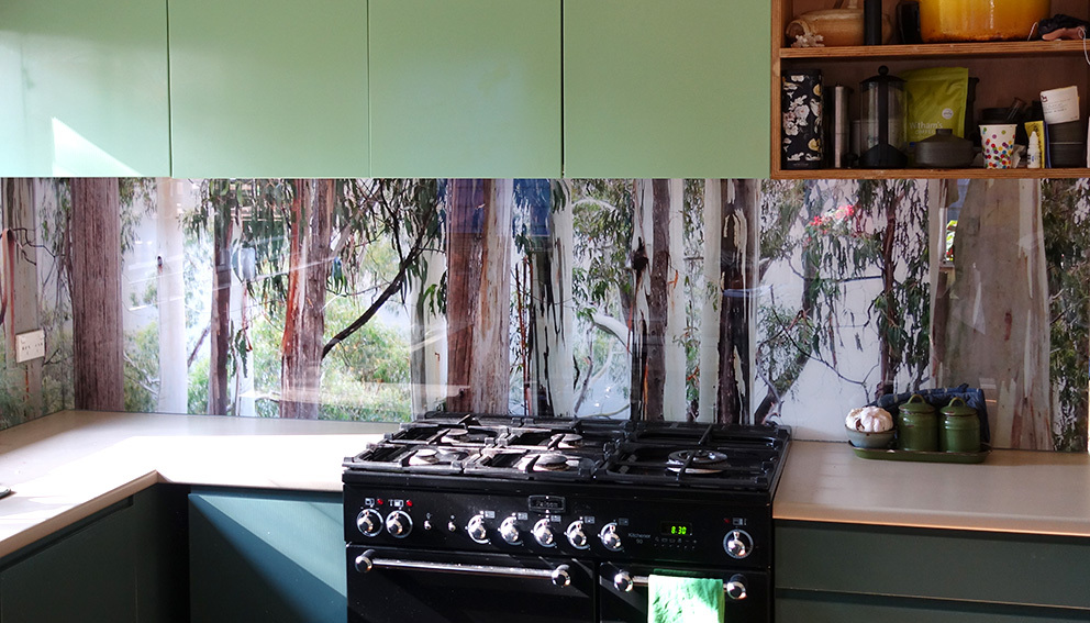 Kitchen Glass Splashbacks 2
